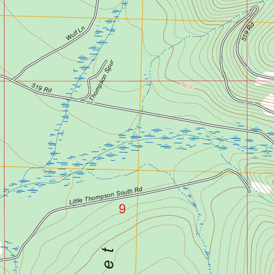 Loneman Creek, MT FSTopo Preview 2