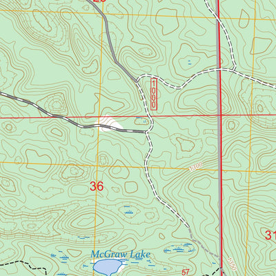 Mack Lake, MI FSTopo Preview 3