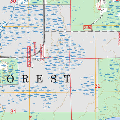 Marcell, MN FSTopo Preview 2