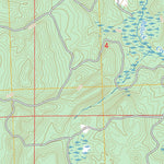 McCollum Lake, MI FSTopo Preview 3