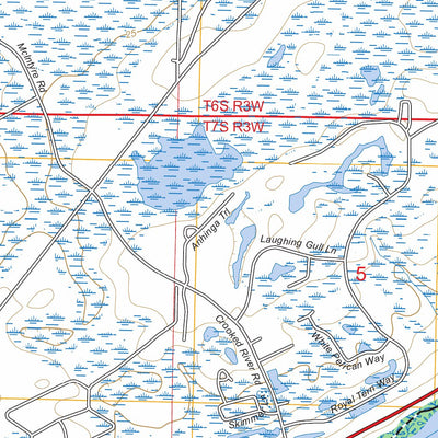 McIntyre, FL FSTopo Preview 3