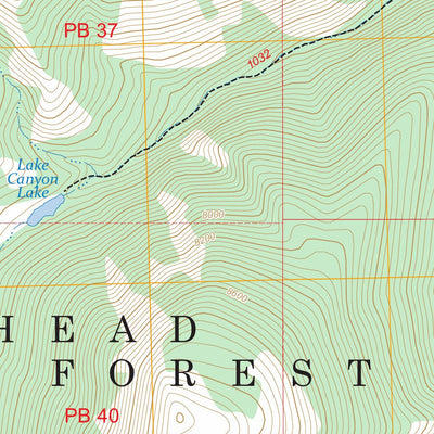 Medicine Lodge Peak, MT FSTopo Preview 3
