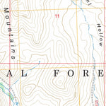 Miller Peak, ID FSTopo Preview 2