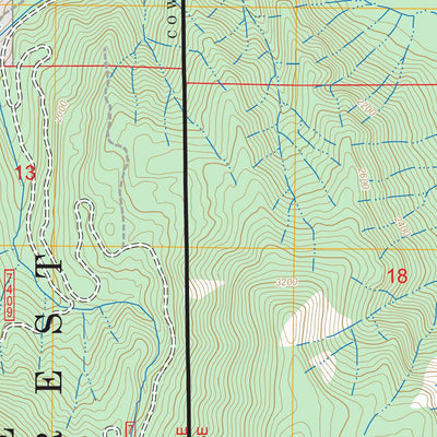 Mineral, WA FSTopo Preview 3