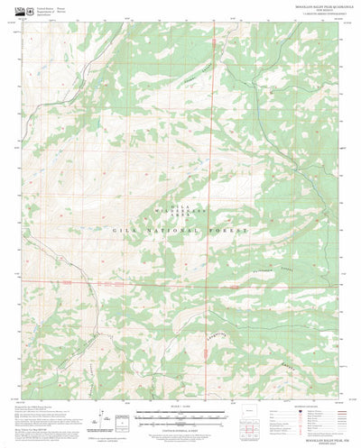 Mogollon Baldy Peak, NM FSTopo Preview 1