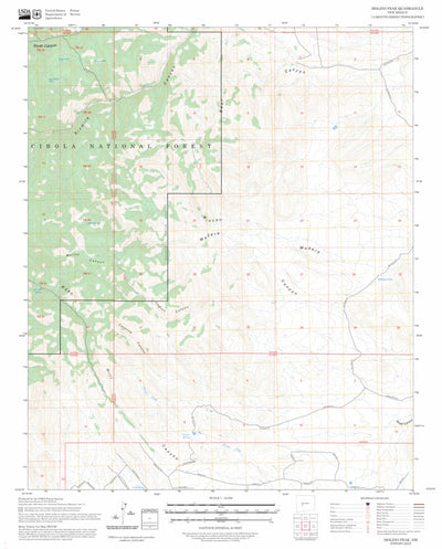 Molino Peak, NM FSTopo Preview 1