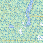 Moniac, GA-FL FSTopo Preview 3