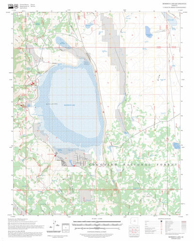 Mormon Lake, AZ FSTopo Preview 1