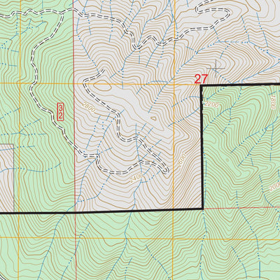 Morton, WA FSTopo Preview 3