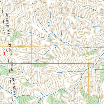 Mount Graham, AZ FSTopo Preview 3