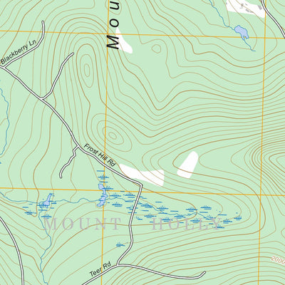Mount Holly, VT FSTopo Preview 2