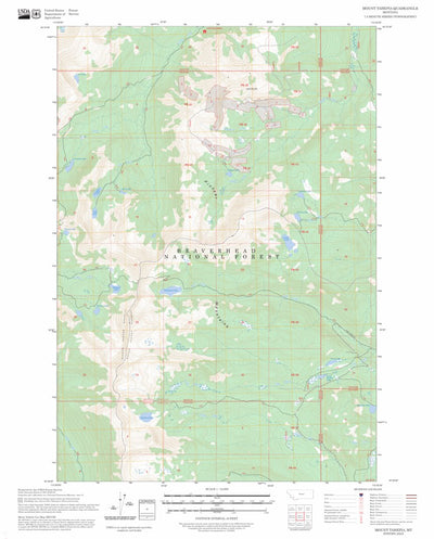 Mount Tahepia, MT FSTopo Preview 1