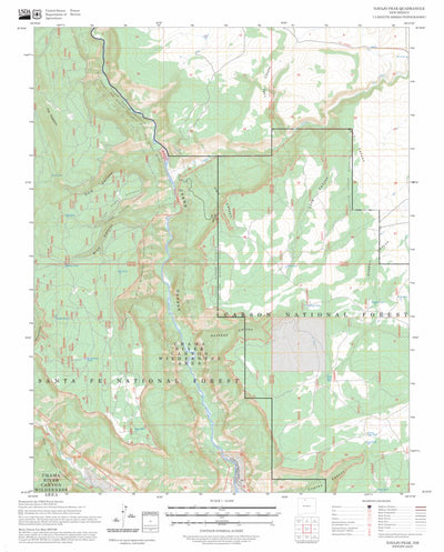 Navajo Peak, NM FSTopo Preview 1