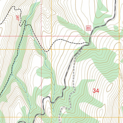 Neil Gulch, ID FSTopo Preview 2