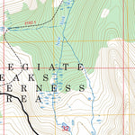 New York Peak, CO FSTopo Preview 2
