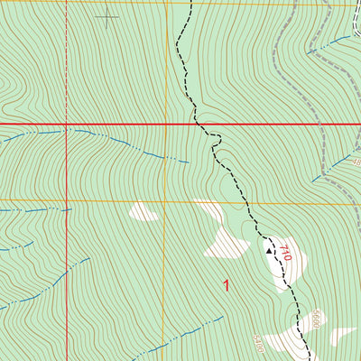Newton Mountain, MT FSTopo Preview 3