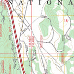 Old Mammoth, CA FSTopo Preview 2
