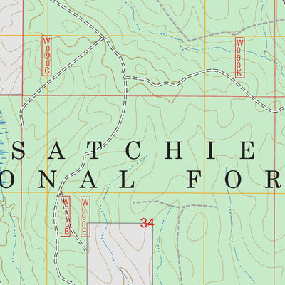 Packton, LA FSTopo Preview 2