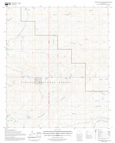 Packsaddle Canyon, NM FSTopo Preview 1