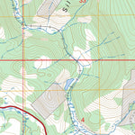 Pando, CO FSTopo Preview 3