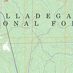 Payne Lake, AL FSTopo Preview 2