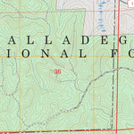 Pearson, AL FSTopo Preview 3