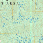 Petersburg A-5 SW, AK FSTopo Preview 2
