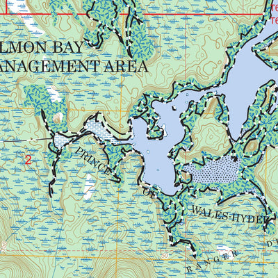 Petersburg B-4 SE, AK FSTopo Preview 3