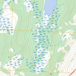 Petersburg C-1 SW, AK FSTopo Preview 3