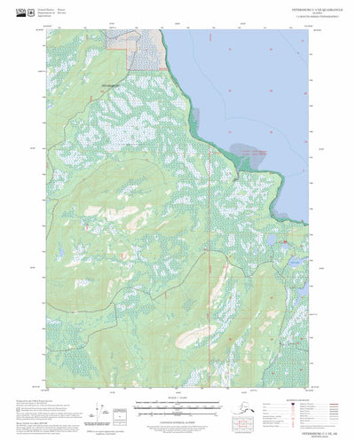 Petersburg C-3 NE, AK FSTopo Preview 1