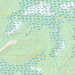Petersburg C-3 NE, AK FSTopo Preview 2