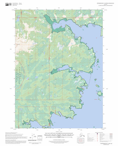 Petersburg C-6 SW, AK FSTopo Preview 1