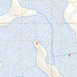 Petersburg C-1 SE, AK FSTopo Preview 3