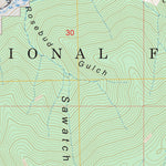 Pitkin, CO FSTopo Preview 2