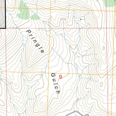 Post, OR FSTopo Preview 3