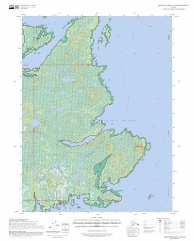 Prince Rupert D-4 NW, AK FSTopo Preview 1