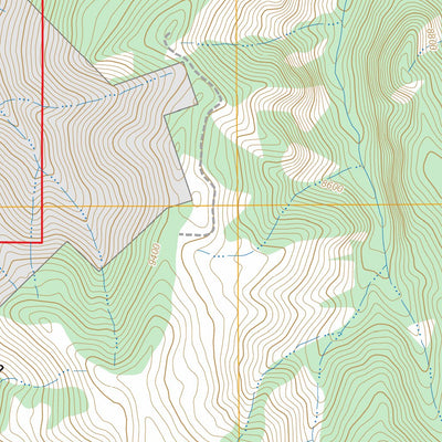 Questa, NM FSTopo Preview 2