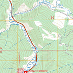 Radial Mountain, CO FSTopo Preview 3