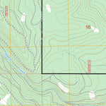 Rail Gulch, OR FSTopo Preview 2