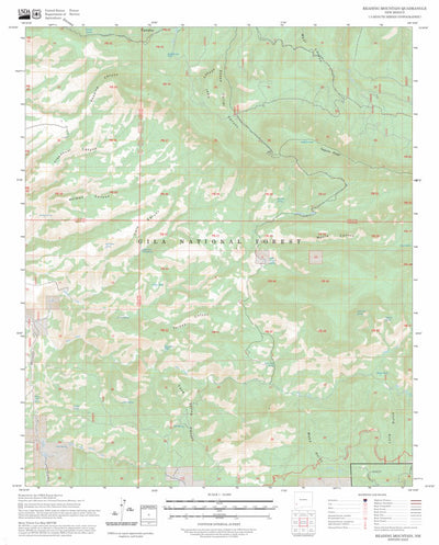 Reading Mountain, NM FSTopo Preview 1