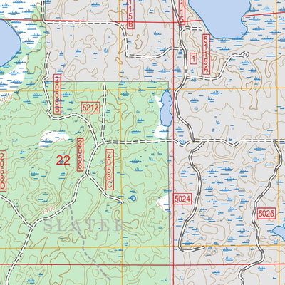 Remer, MN FSTopo Preview 3