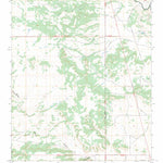 San Juan, NM FSTopo Preview 1