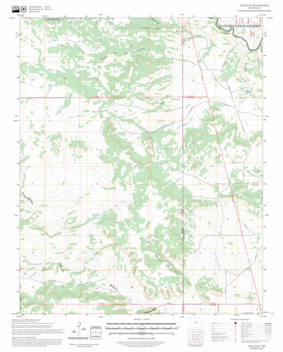 San Juan, NM FSTopo Preview 1