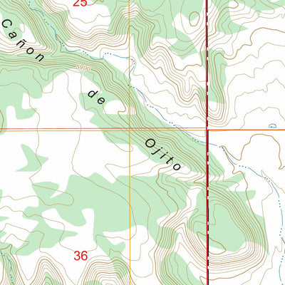 San Juan, NM FSTopo Preview 3