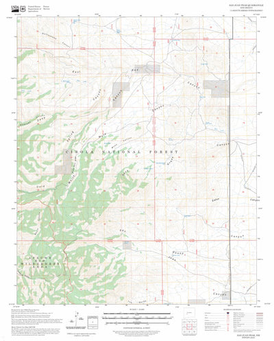 San Juan Peak, NM FSTopo Preview 1