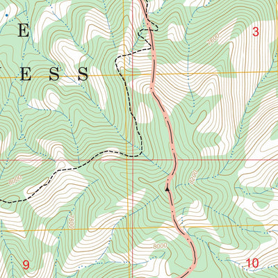 San Juan Peak, NM FSTopo Preview 3