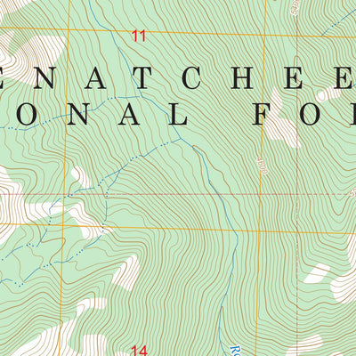 Schaefer Lake, WA FSTopo Preview 2