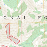 Shewag Lake, ID-MT FSTopo Preview 2