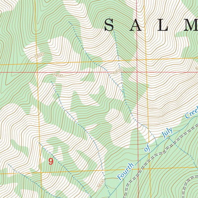 Shewag Lake, ID-MT FSTopo Preview 3
