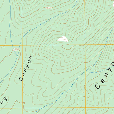Sierra Blanca Peak, NM FSTopo Preview 2